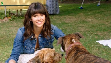 Dog Days