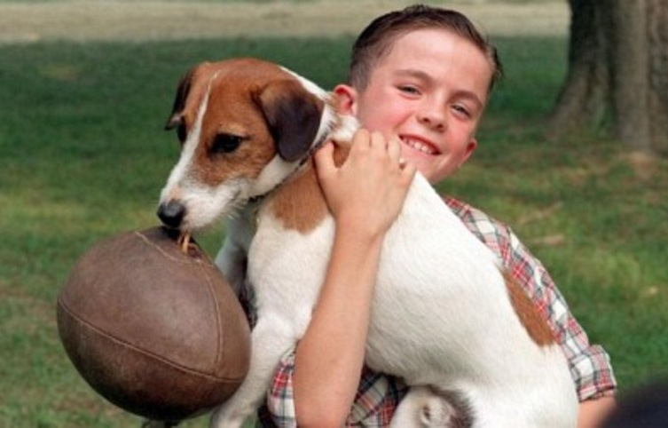 my dog skip